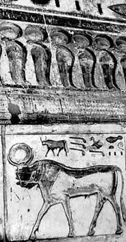 Храм Хабу. 'Шары Праны' над головами змей и животных